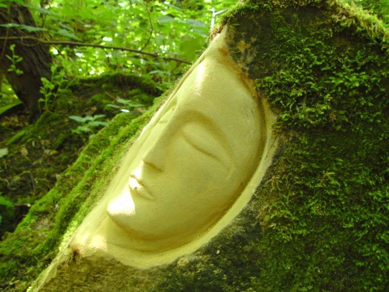 Other image for Melvin is the face behind the faces